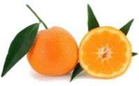 mandarines.gif